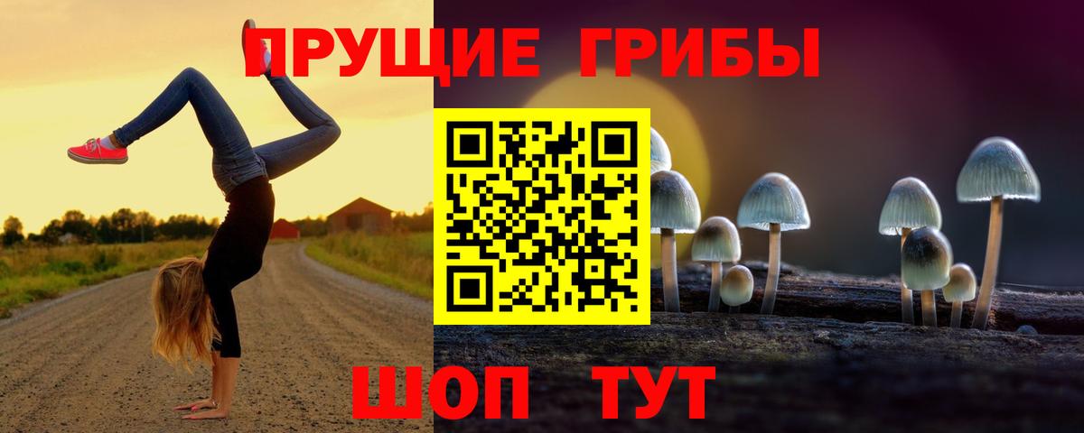 Псилоцибиновые грибы ЛСД Белая Калитва